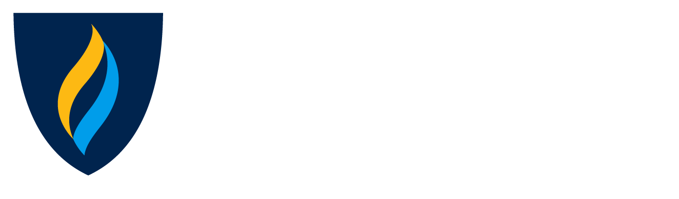 Southern New Hampshire University Logo